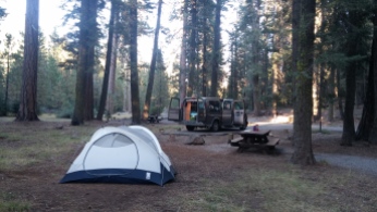 Camping in Lassen National Forest just outside the park entrance. FAITH MECKLEY